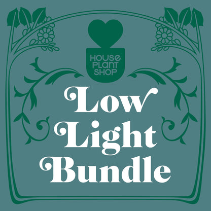 Low Light Bundle