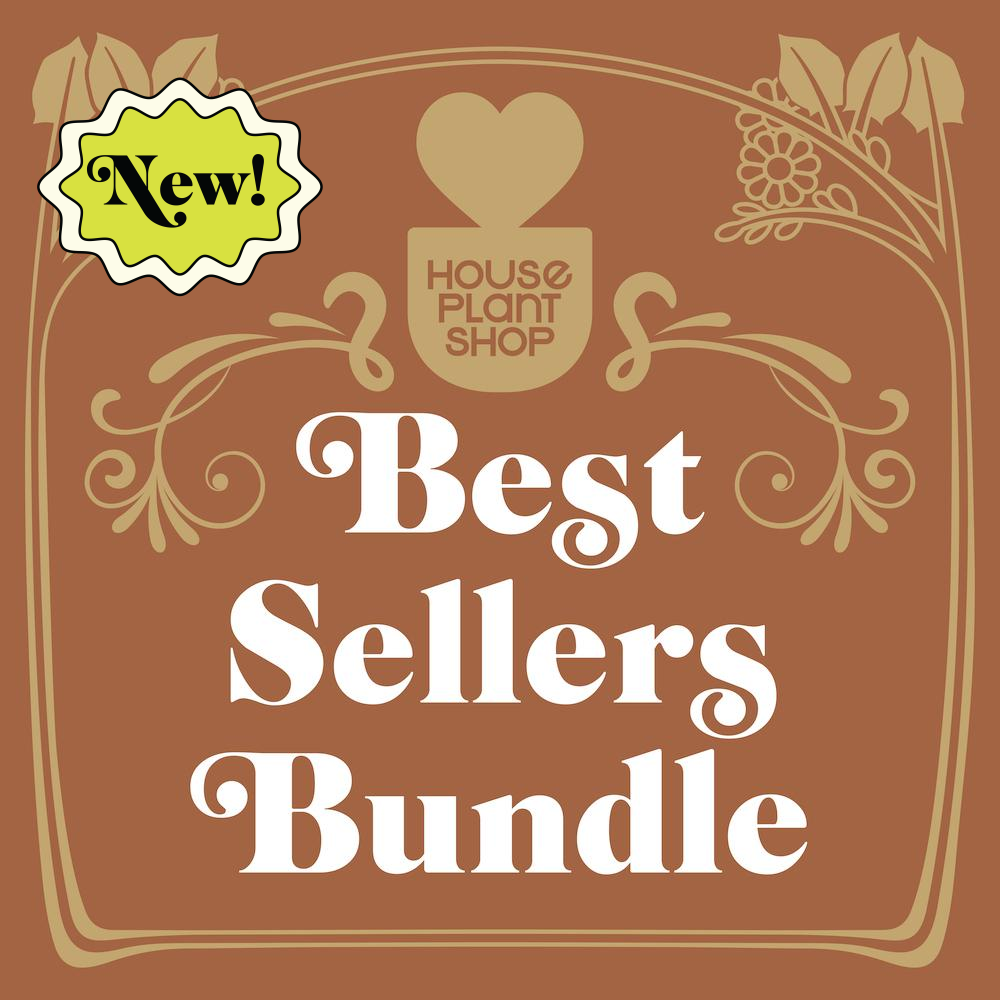 Best Selling Plant Bundle